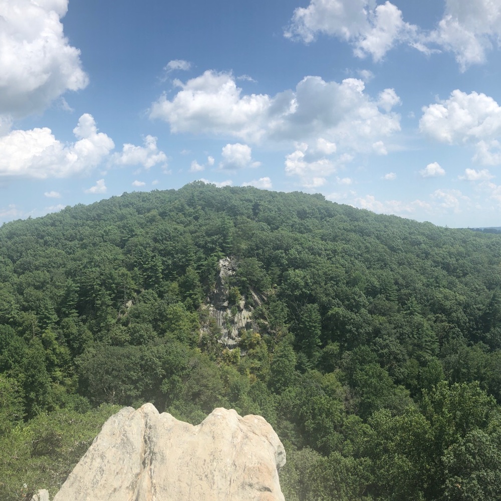 Meet your Posher, Chuhee